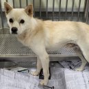 씨사이드모텔1 이미지