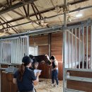 프리미어아레나승마클럽 이미지