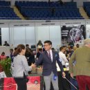 라온제나 이미지