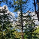 중미산자연휴양림 이미지