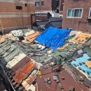 도성농장 | 산다는 건