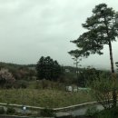 유만손칼국수