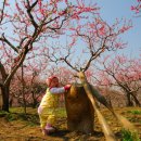 영천오이소 이미지