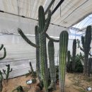 서부농업기술센터 이미지