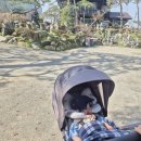 동민목장 | 천안 성환 동민목장 배꽃카페 내돈내산 방문후기