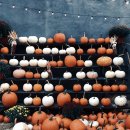 으뜸50안경 성신여대점 이미지