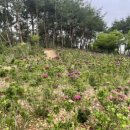 (주)이룸팜 이미지