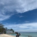 비리프 | [발리 한 달 살기] D+5 길리(2) :: 길리 터틀 포인트에서 스노클링 하다가 선번 거하게 입어버리기