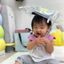 모모래빗 아기기저귀 사이즈 여름 낮 밤기저귀 추천