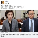 손혜원 “나경원, 국가재난 수준 고성·속초 산불, 설명해줘야 알아 듣는 분” 이미지