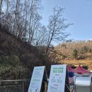 자작나무숲의투데이 | 인제 겨울캠핑& 인제 자작나무숲 트레킹 "인제 여행 추천"