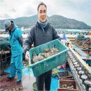 완도전복 이미지