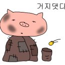 히든토이대전 이미지