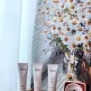 블레이(BLAY) 이미지