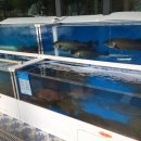 동신수산 이미지