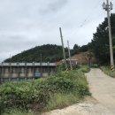 회진농장 티스토리