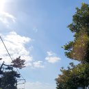 스테이비갠오후 이미지