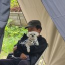 옥천쉼터화장실 이미지