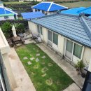 심지방코지 이미지