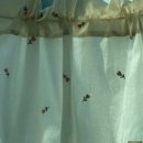 온누리소프트 이미지