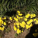 압구정초등학교 이미지