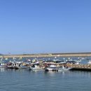 아라메길 (삼길나루길-벚꽃길) 이미지