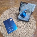 동해시-32 이미지