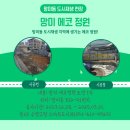 망미동 도시재생사업 이미지