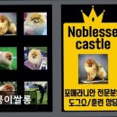 멍뭉이 쌀롱 이미지