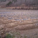 구시농장 이미지