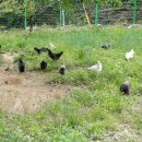 세동산골농원 네이버블로그
