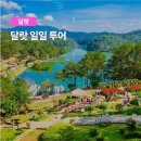 나트랑 여행 중 만난 인생 최고의 선물, 굿데이 컴퍼니 달랏 일일 투어 리얼 후기