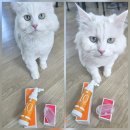 온니캣(ONLY CAT) | 고양이 치약 추천 - 캣디피 스프레이 치약 &amp; 핑거칫솔