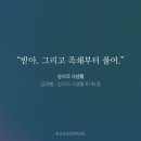 강우상사