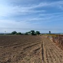 동일리-6 이미지