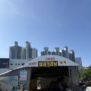 엠브이피디테일 이미지