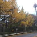 훼미리하우스콘도 이미지