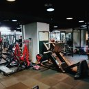 고짐(Go gym) 이미지