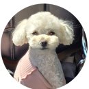 더 샤인 디테일링 | 인천 주안 디테일링, 역겨워서 못 탄 중고차 레이의 변신 후기