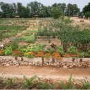 희망돈 농장 이미지