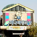 미나리광 이미지