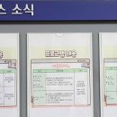 까리따스어린이집 이미지