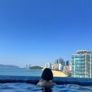 [공지] [부산 호텔] 시그니엘 부산 호캉스 내돈내산 후기 조식 수영장 라운지 미포하버뷰 주차