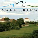 대지골프 이미지