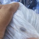 롯데후레쉬마트 이미지