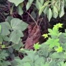 상대농원 이미지