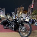 할리데이비슨 로드킹 30인치 이미지