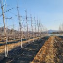 유목농장 이미지