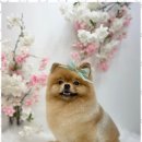 뷰티몽 이미지