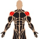 슬림한 바디 이미지